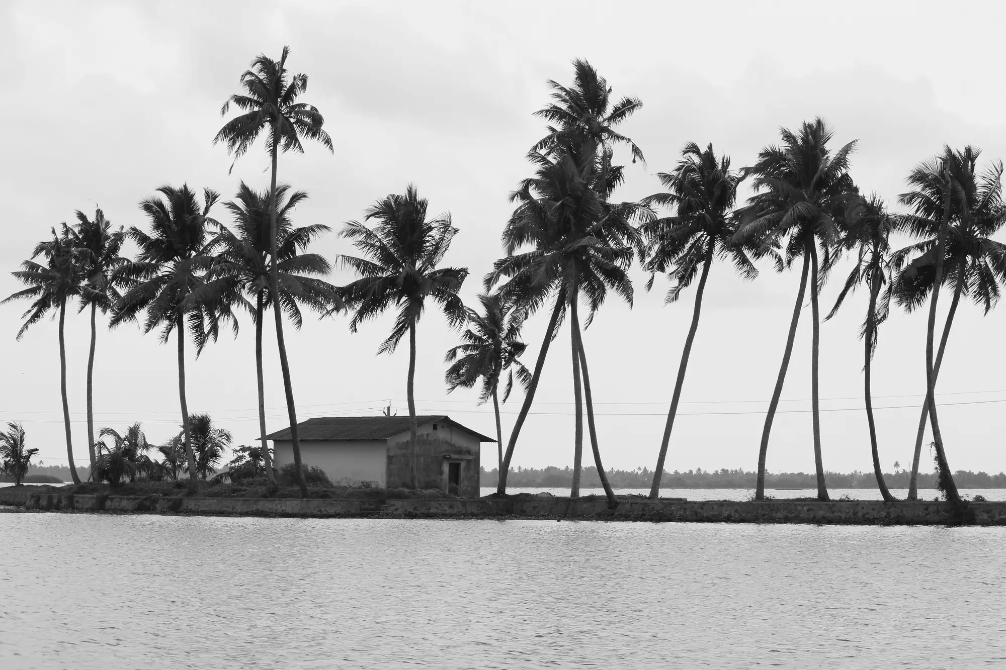 Kerala destination hero