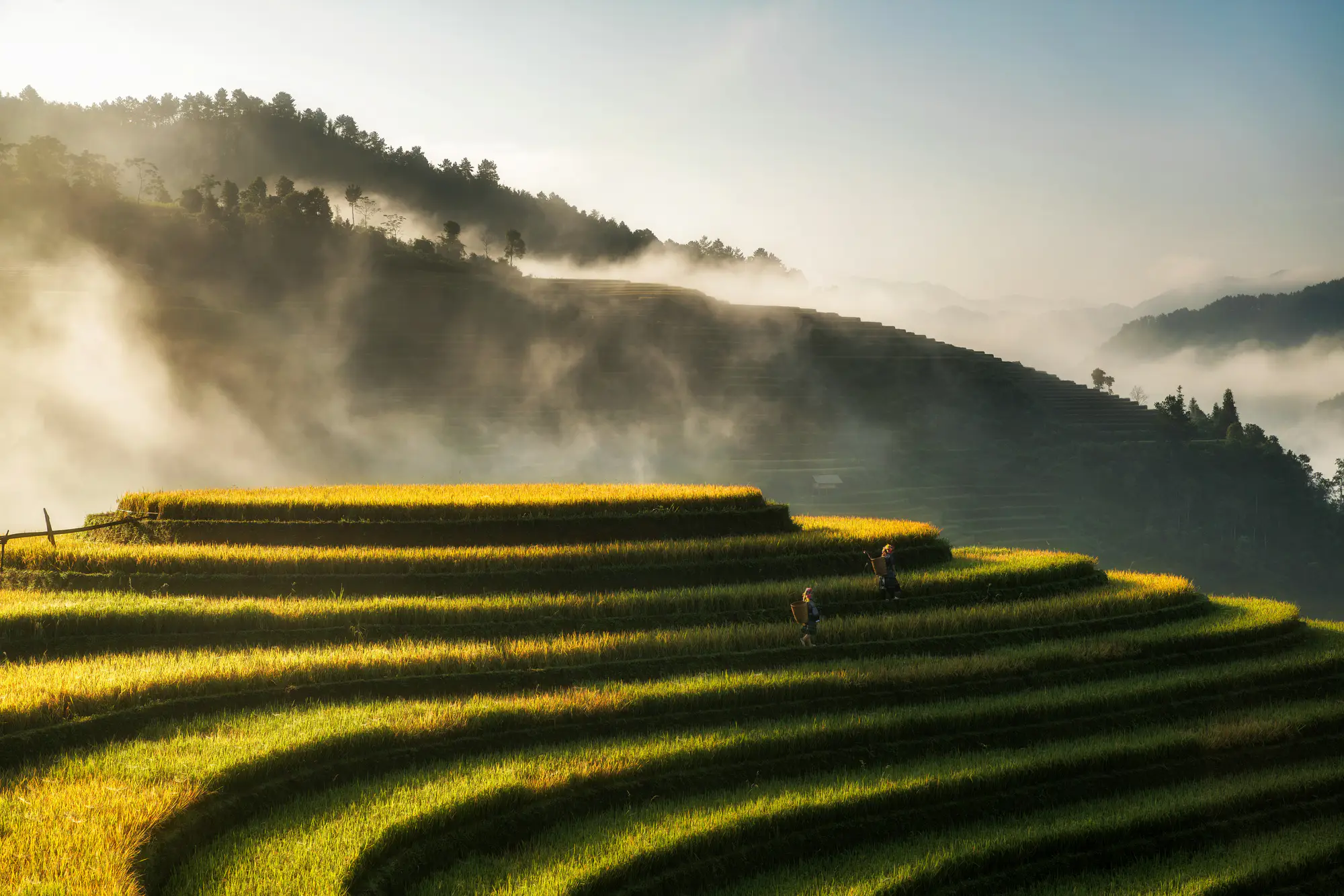 Vietnam destination hero