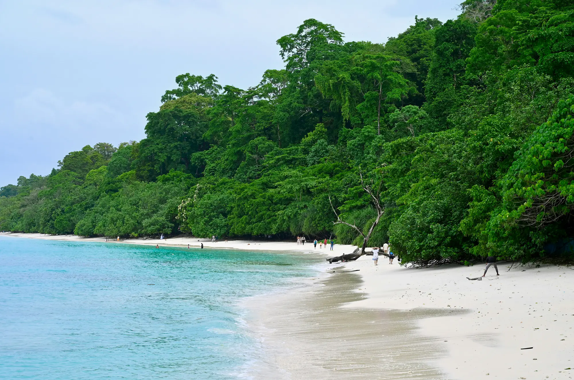 Andaman gallery