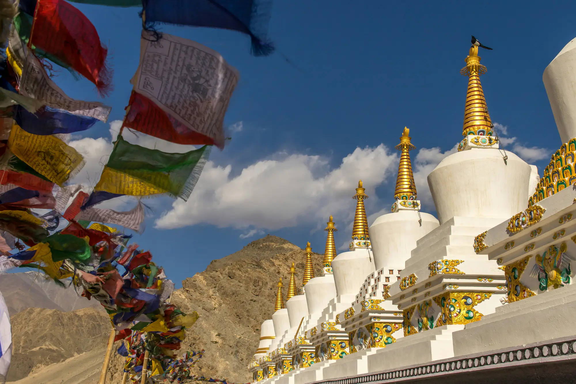 Ladakh gallery