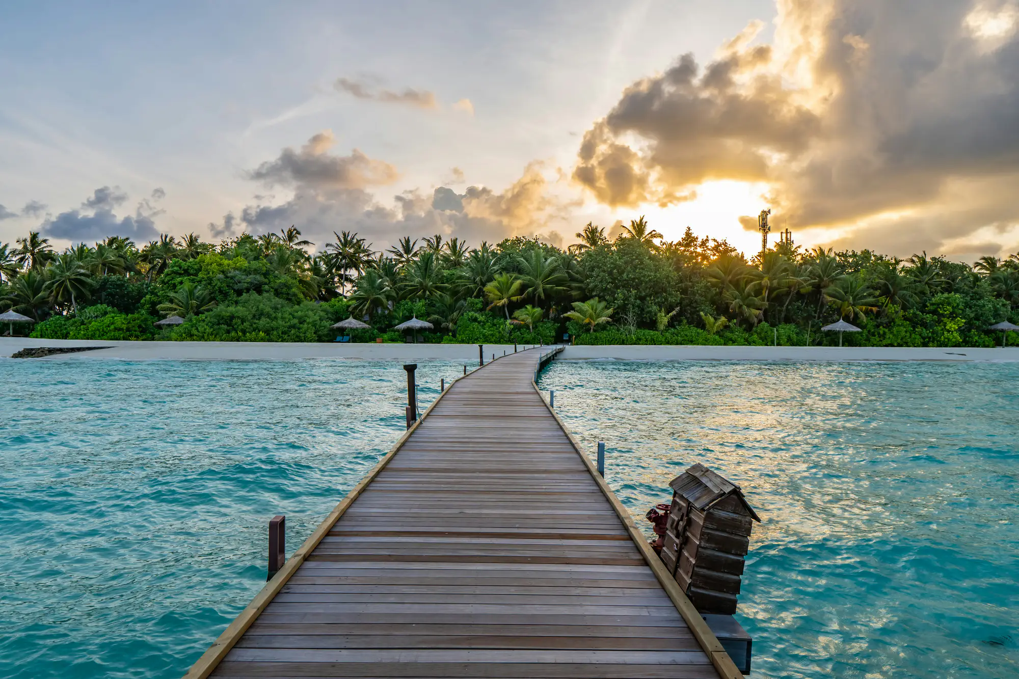 Maldives gallery