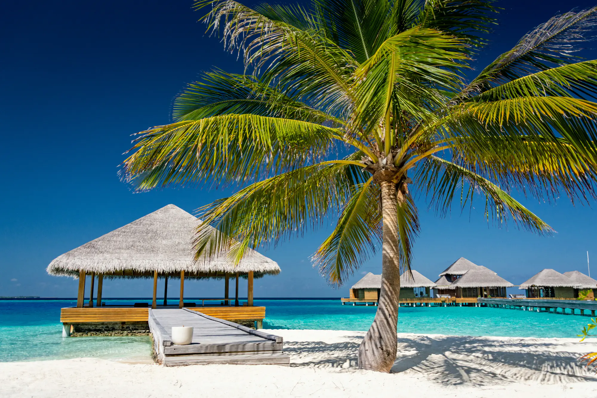 Maldives gallery