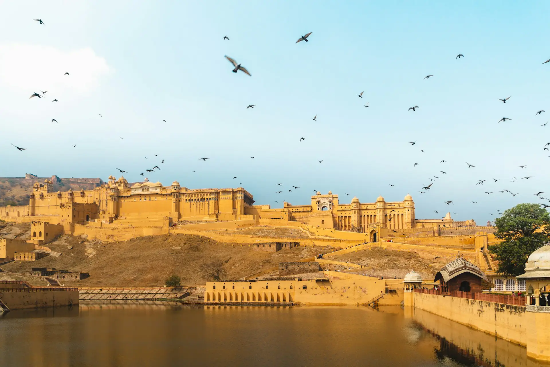 Rajasthan gallery