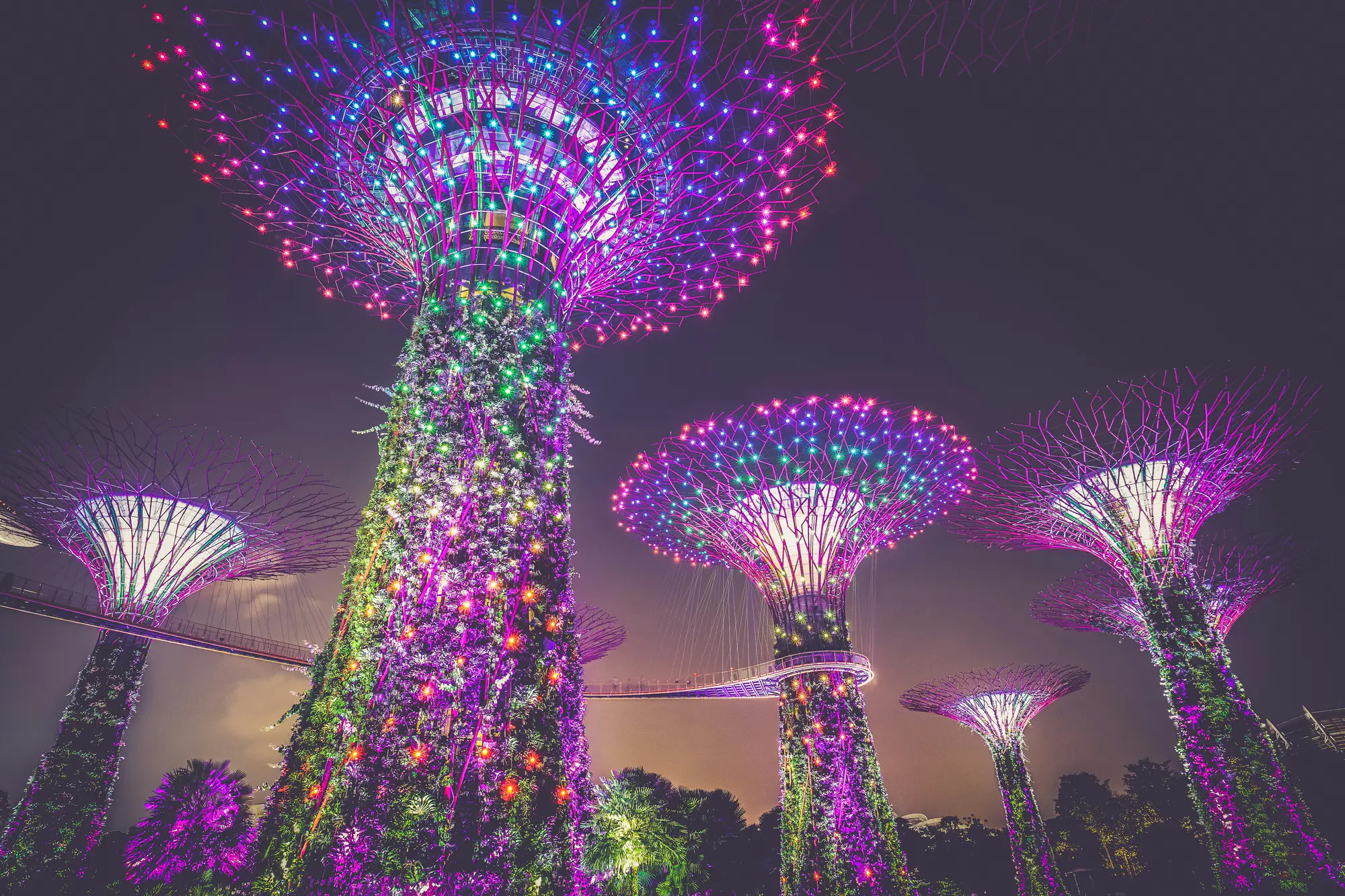 Singapore gallery