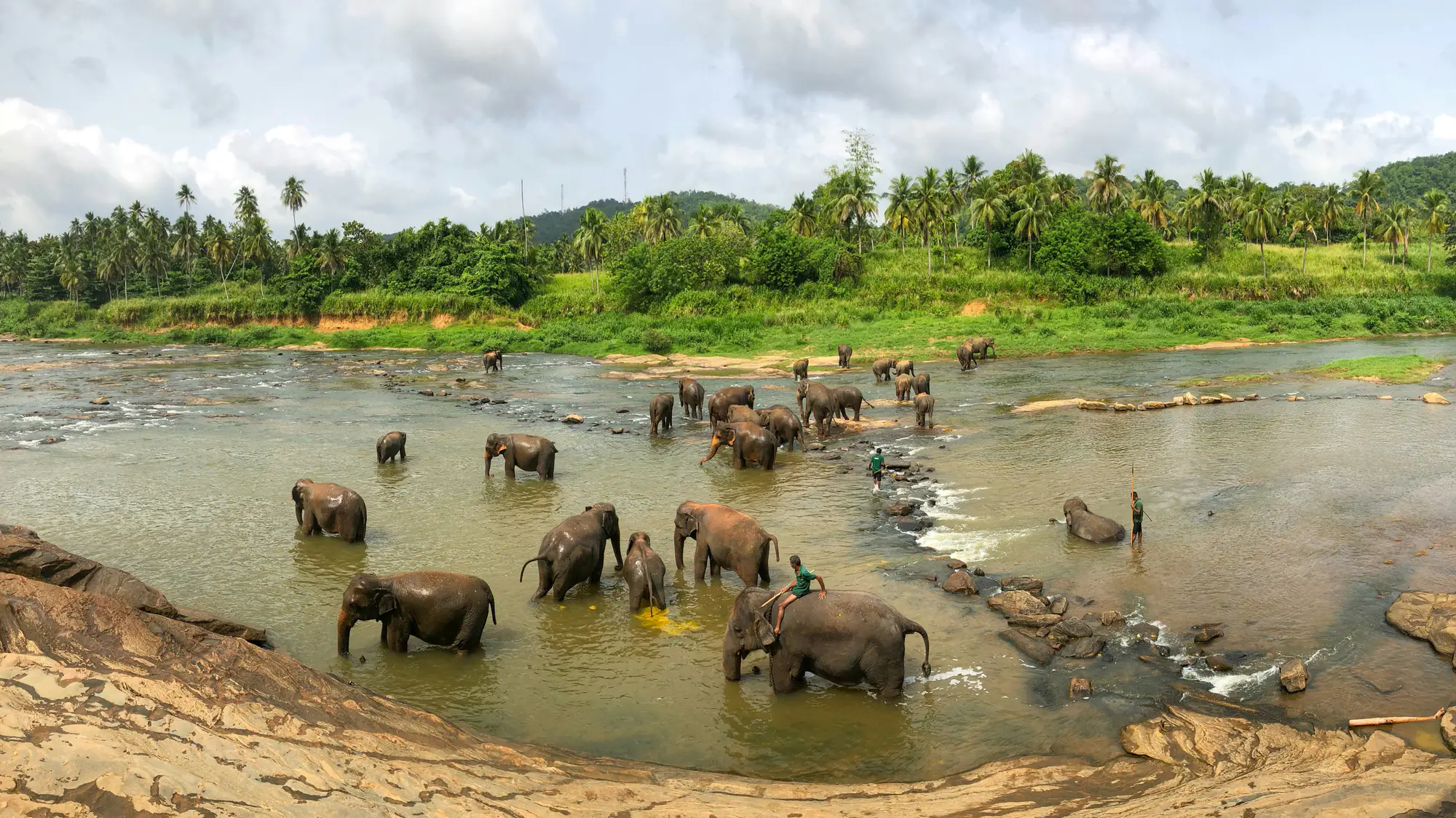 Sri Lanka gallery