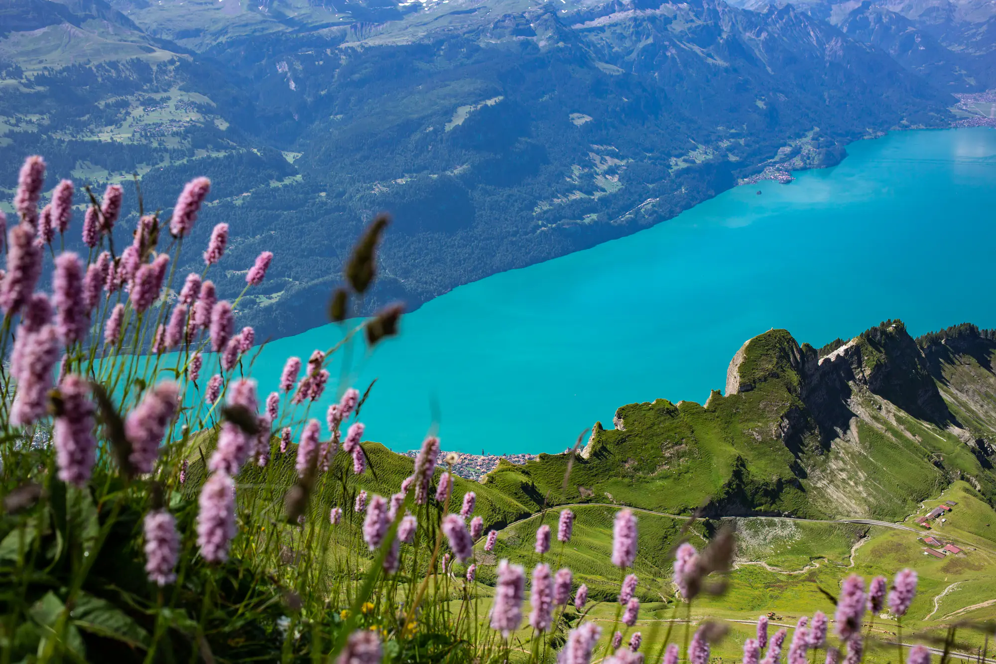 Switzerland gallery