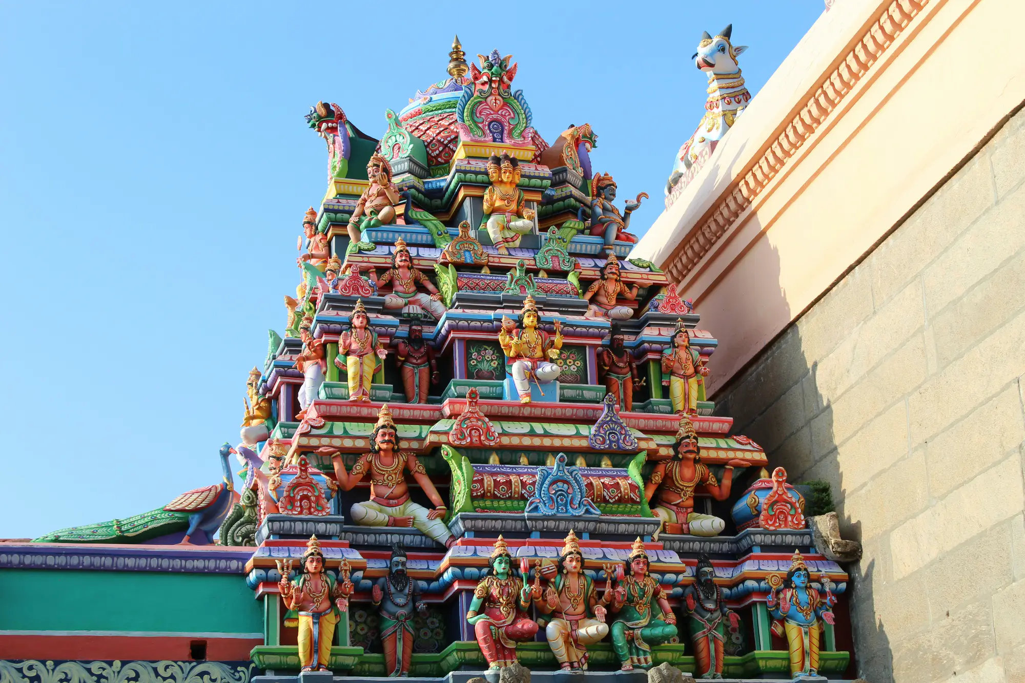 Tamil Nadu gallery