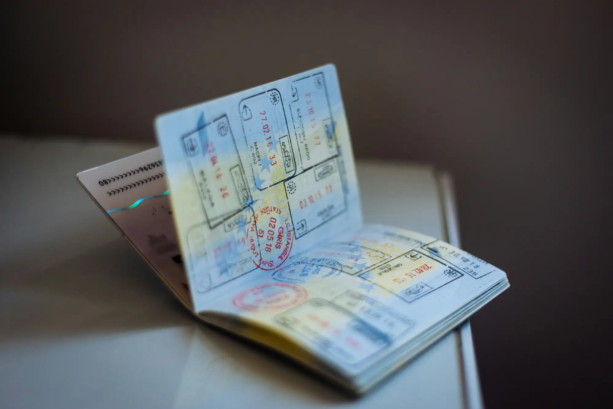 Visa assistance